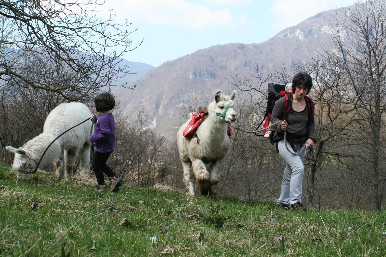 Il Capriolo Felice - Agriturismo Panzió Lastebasse Kültér fotó